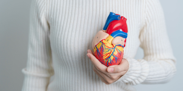 Herzinsuffizienz: Forscher finden Wege, um die Erkrankung bei Frauen früher zu diagnostizieren